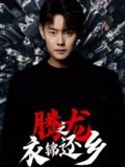 腾龙之衣锦还乡_枫叶短剧聚合网