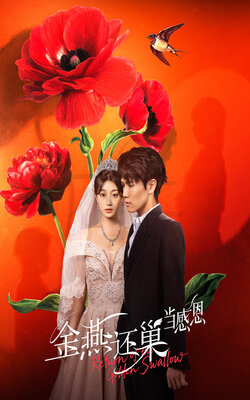 金燕还巢当感恩_枫叶短剧聚合网