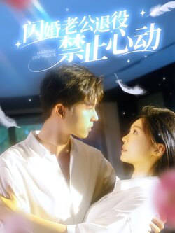 闪婚老公退役禁止心动