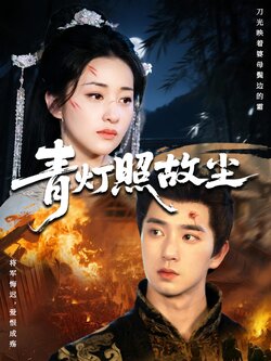 青灯照故尘_枫叶短剧聚合网