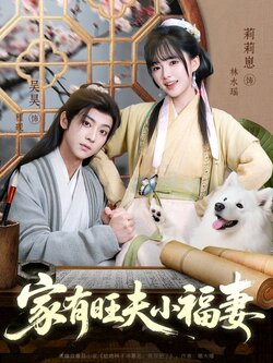 家有旺夫小福妻_枫叶短剧聚合网