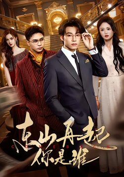 东山再起你是谁_枫叶短剧聚合网