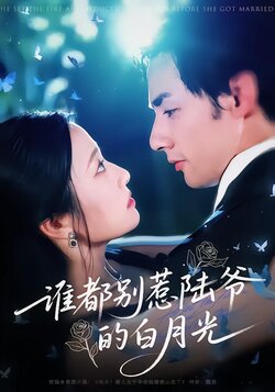 谁都别惹陆爷的白月光_枫叶短剧聚合网