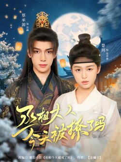 丞相大人今天被撩了吗_枫叶短剧聚合网