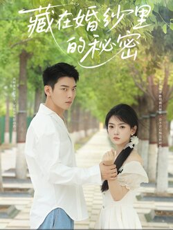 藏在婚纱里的秘密_枫叶短剧聚合网