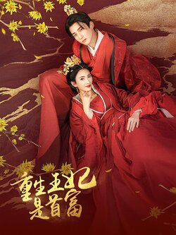 重生王妃是首富