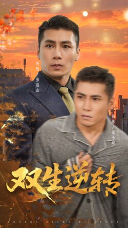 双生逆转_枫叶短剧聚合网