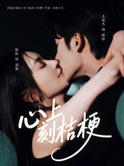 心上刻桔梗_枫叶短剧聚合网