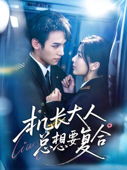 机长大人总想要复合_枫叶短剧聚合网