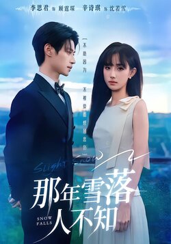 那年雪落人不知_枫叶短剧聚合网