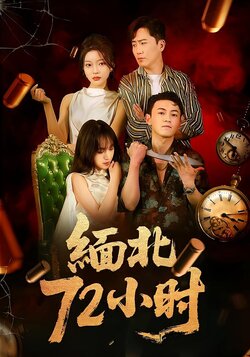 缅北72小时_枫叶短剧聚合网