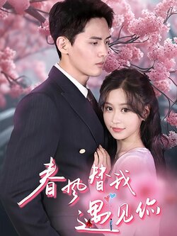 春风替我遇见你