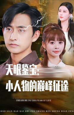 天眼鉴宝小人物的巅峰征途