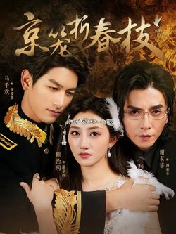京笼折春枝_枫叶短剧聚合网