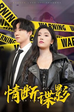 情断谍影