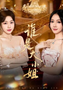谁是大小姐_枫叶短剧聚合网