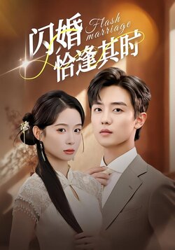 闪婚恰逢其时_枫叶短剧聚合网