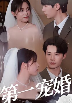 第一宠婚