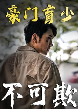 豪门盲少不可欺