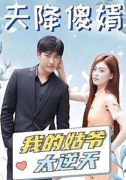 天降傻婿：我的姑爷太逆天