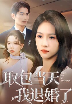 取包当天我退婚了_枫叶短剧聚合网