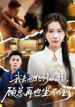 我去西北修文物，顾总再也坐不住了_枫叶短剧聚合网