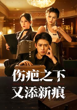 伤疤之下又添新痕_枫叶短剧聚合网