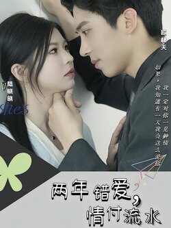 两年错爱，情付流水