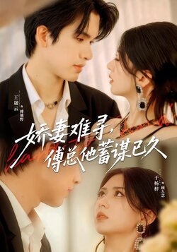 娇妻难寻，傅总他蓄谋已久_枫叶短剧聚合网