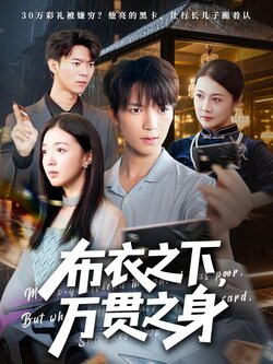 布衣之下万贯之身_枫叶短剧聚合网