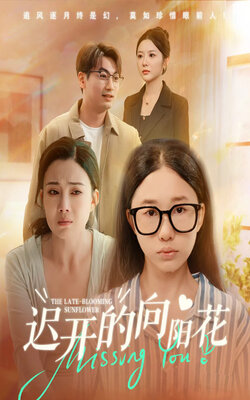 迟开的向阳花_枫叶短剧聚合网