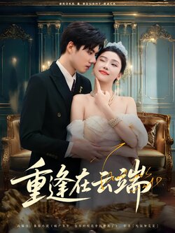 重逢在云端_枫叶短剧聚合网