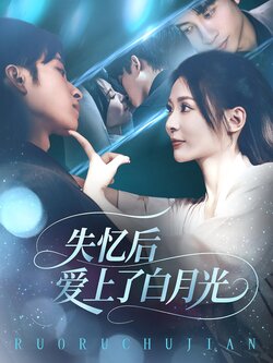 失忆后爱上了白月光_枫叶短剧聚合网