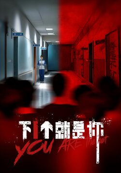 下1个就是你_枫叶短剧聚合网