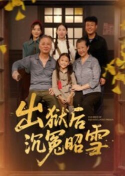 出狱后沉冤昭雪_枫叶短剧聚合网