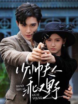 少帅夫人乖又野_枫叶短剧聚合网