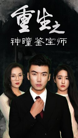 重生之神瞳鉴宝师_枫叶短剧聚合网