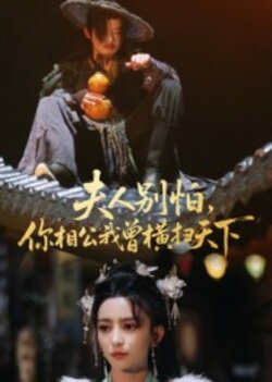 夫人别怕，你相公我曾横扫天下_枫叶短剧聚合网