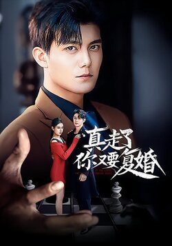 真走了你又要复婚