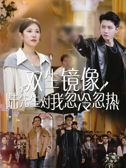 双生镜像陆先生对我忽冷忽热_枫叶短剧聚合网