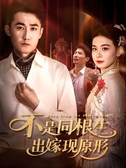 不是同根生出嫁现原形_枫叶短剧聚合网