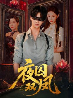 夜囚双凤_枫叶短剧聚合网