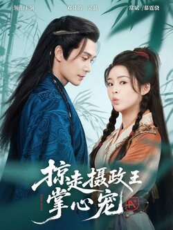 掠走摄政王掌心宠_枫叶短剧聚合网