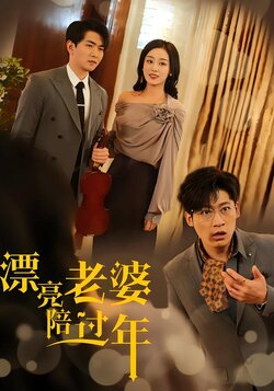 漂亮老婆陪过年