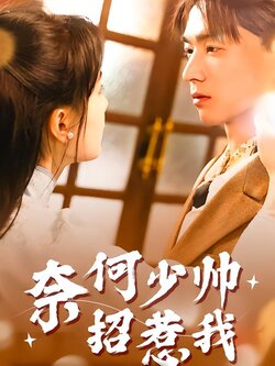 奈何少帅招惹我