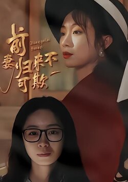 前妻归来不可欺