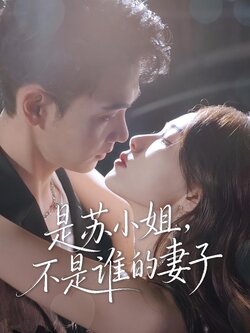 是苏小姐，不是谁的妻子