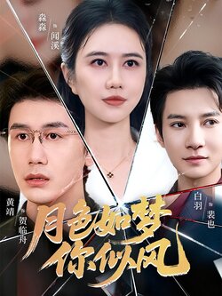 月色如梦你似风_枫叶短剧聚合网