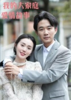 我的大家庭爱情故事_枫叶短剧聚合网