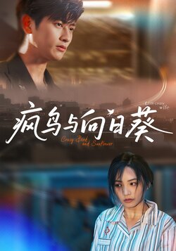 疯鸟与向日葵_枫叶短剧聚合网